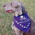 Domestic Dark Purple Small Triangle Bandanna